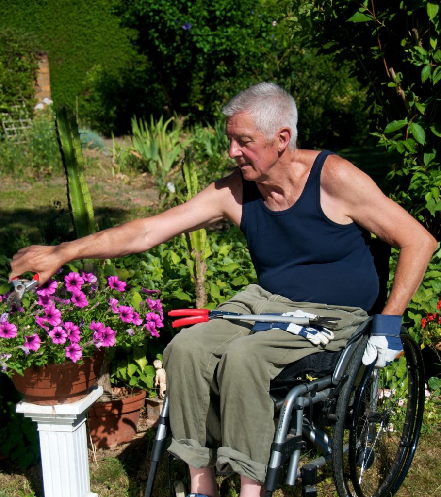 Wheelchair Gardening