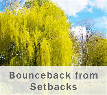 Bounceback from Setbacks