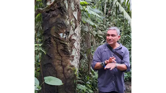Flowing river through the Amazon rainforest symbolizing resilience, renewal, and the idea that water bears no scars