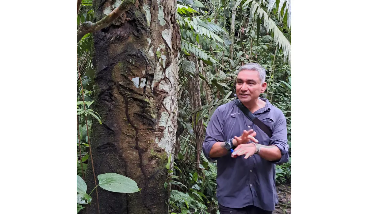 Flowing river through the Amazon rainforest symbolizing resilience, renewal, and the idea that water bears no scars